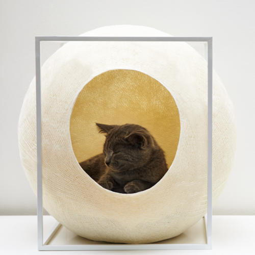 Meyou Cube Champagne