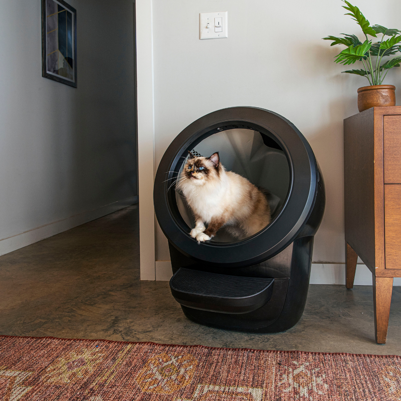 Litter-Robot® 4