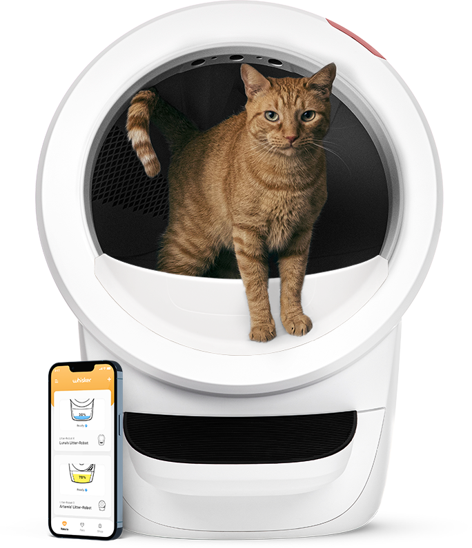 Buy Litter Robot 4 Online Scoop Free Litter Box Cleaning Cat