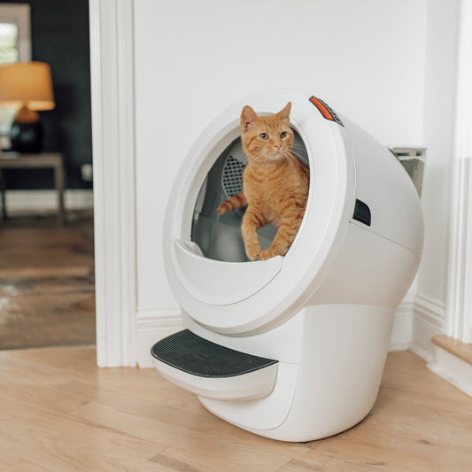 Litter-Robot™ 4 LitterHopper™